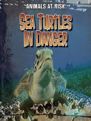 cover image of Sea Turtles in Danger